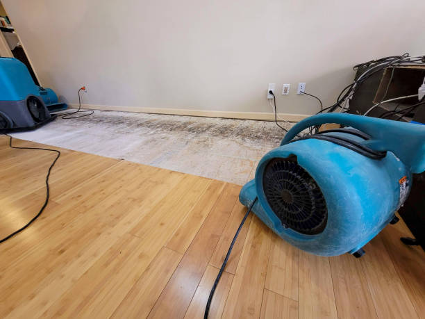 Professional Basement Flood Cleanup technician working in Silverton, OH